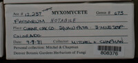 Image Associated With the Occurence